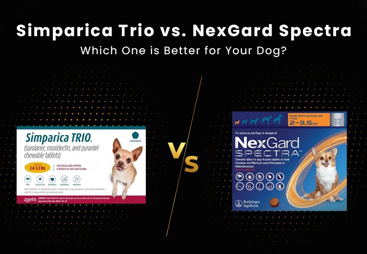 Simparica Trio vs. NexGard Spectra - Which One is Better for Your Dog?
